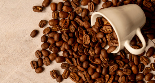 Caffè Arabica o Robusta? Scopri caratteristiche e differenze principali delle due miscele